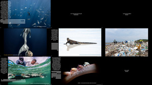 Winners of the United Nations World Oceans Day 2023 Photo Co