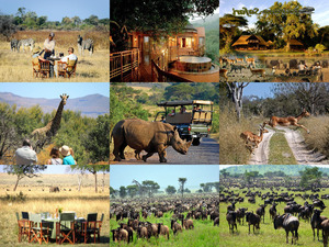 BOTSWANA SAFARI