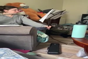 Katze verrutscht den Notenständer