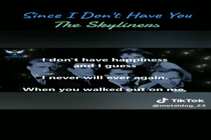 THE SKYLINERS - Since I don't have you