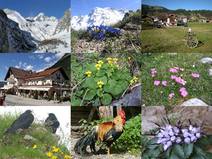 HOOG IN DE ALPEN CH