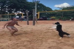 Beachvolleyball mit dem Hund