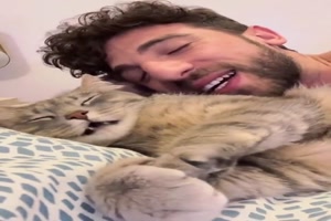 Katze macht Geräusche nach