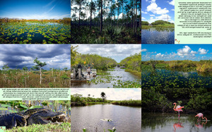 Everglades-Nationalpark