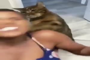 Katze-stört.mp4 auf www.funpot.net