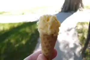 Eichhrnchen mag Eis