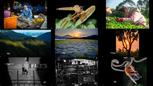 National Geographic Taiwan Photo Contest 2023 - Shortlisted