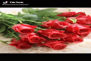 The Lady in Red (Roses) - Die Dame in Rot (Rosen)