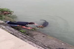 Hund-gerettet.mp4 auf www.funpot.net