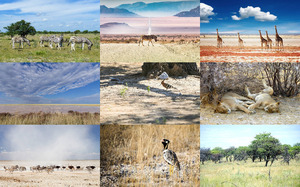 Etosha-Nationalpark