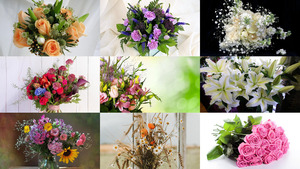 Beautiful Bouquets 2