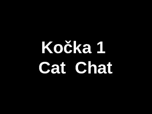 kocka-1-cat--chat