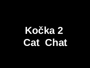 kocka-2-cat--chat