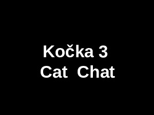 kocka-3-cat--chat