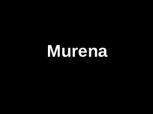 murena