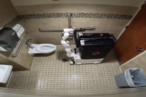 Toiletten-Putzgert
