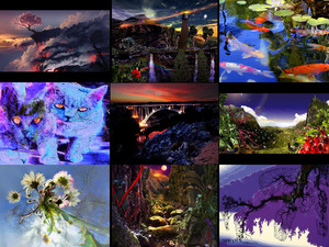 Landscapes-2--Eden-Garden