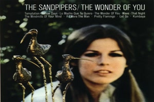 THE SANDPIPERS - The wonder of you