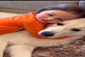 Kinder und Hunde