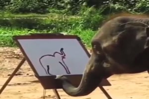Begabter Elefant