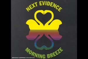 NEXT EVIDENCE - Morning Breeze
