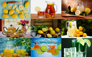 Lemons 2 - Judy - Zitronen 2