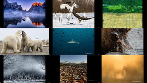 2016 National Geographic Nature Photographer of the Year (3)