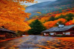 Herbstbilder