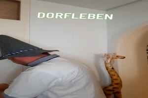 Dorfleben