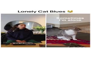 Lonely Cat Blues - Die singende Katze