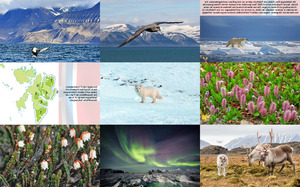 Nationalparks-auf-Spitzbergen.ppsx auf www.funpot.net