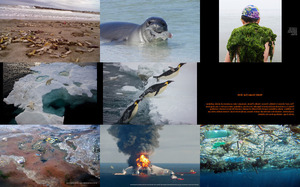 worldoceansday2016shockingphotosofmarinepollutionaroundthepl