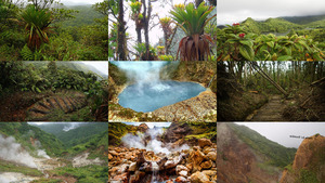 Morne Trois Pitons Park Dominica