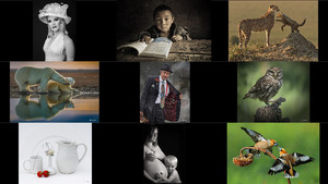 sidneyinternationalexhibitionofphotographywinners2016