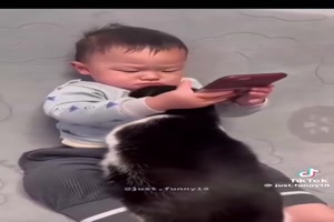 Katzen und Kinder