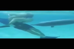Frecher Delfin