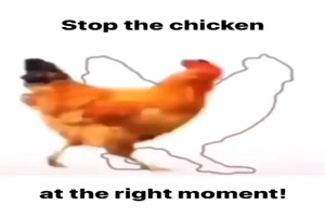 Halt das Huhn an
