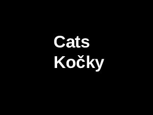 cats---kocky