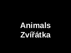 animals