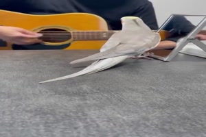 Musikalischer Vogel
