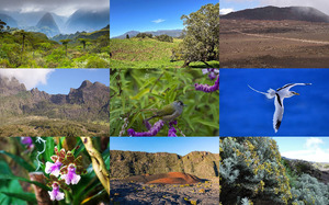 Nationalpark Reunion