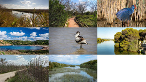 Parc National s'Albufera Mallorca