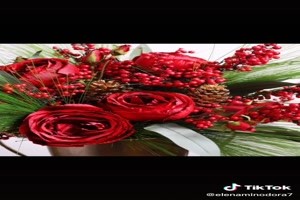 Red Flowers - Rote Blumen
