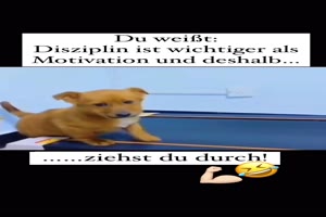 Er-zieht-es-durch.mp4 auf www.funpot.net