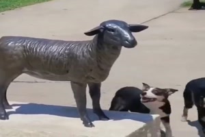 Hunde und eine Skulptur