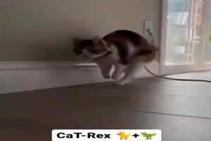 Cat-Rex
