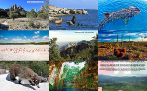 Nationalparks-in-Mexiko.ppsx auf www.funpot.net