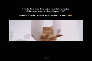 Viel-zu-erledigen.mp4 auf www.funpot.net
