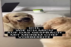 Vorbereitung-ist-wichtig.mp4 auf www.funpot.net