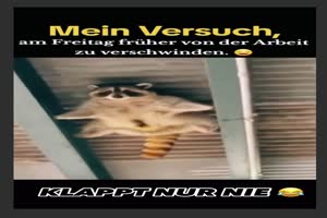 Ich-hau-früher-ab.mp4 auf www.funpot.net